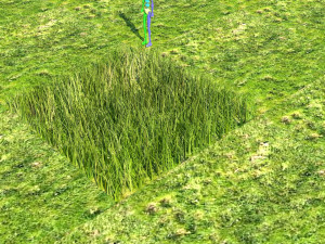 Grass Modelo 3D