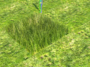 &Ccedil;imen 3D Model