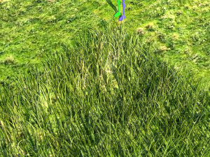 Grass Modelo 3D