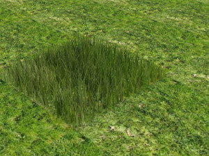 Grass Modelo 3D