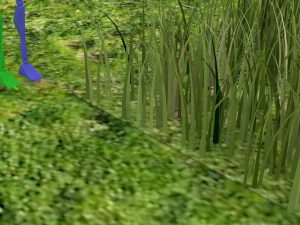 &Ccedil;imen 3D Model