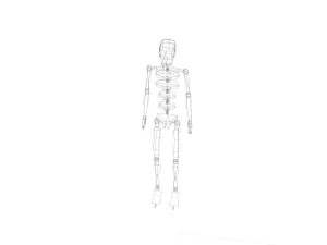 &Ccedil;imen 3D Model