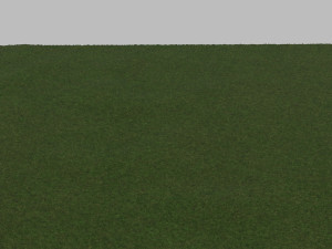Grass 3D Model