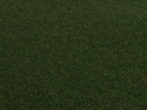 Grass 3D Модель