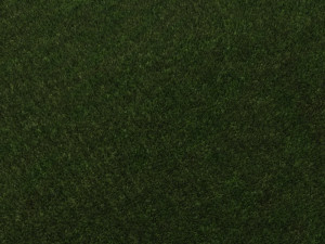 Grass 3D Модель