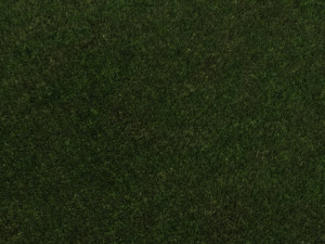 Grass 3D Модель