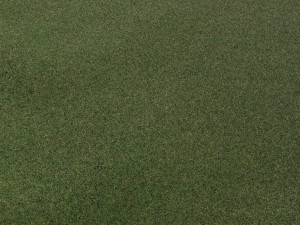Grass 3D Модель