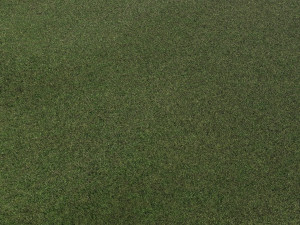 Grass 3D Модель