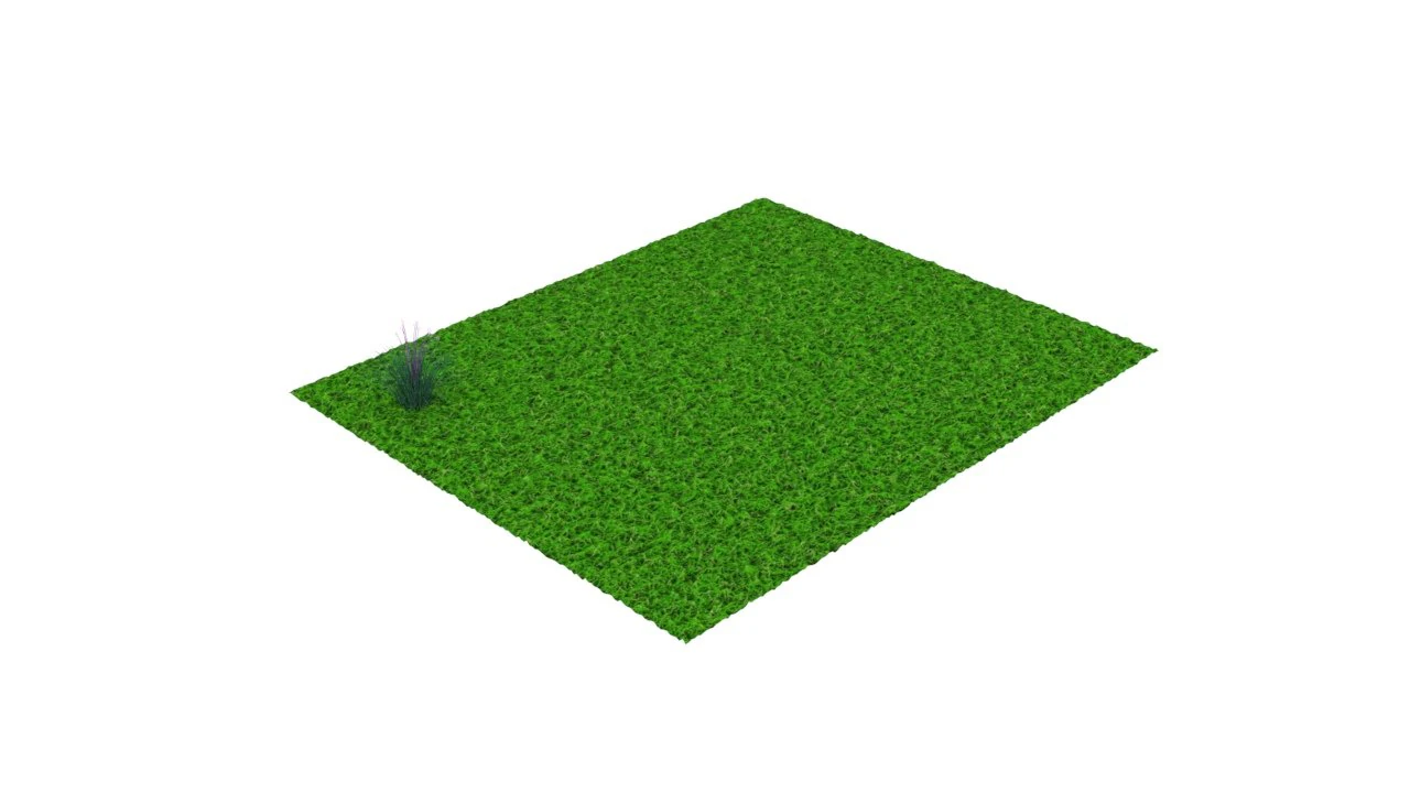 Grass and Flower 3D Model .c4d .max .obj .3ds .fbx .stl .blend 