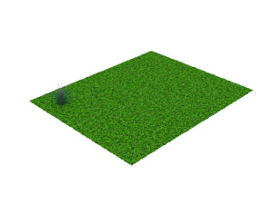 Grass and Flower 3D Model