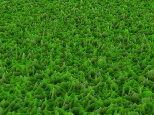 Grass and Flower 3D Model