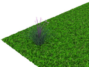 Grass and Flower Modelo 3D