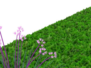 Grass and Flower Modelo 3D