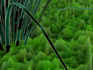 Grass and Flower Modelo 3D