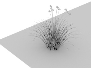 Grass and Flower Modelo 3D