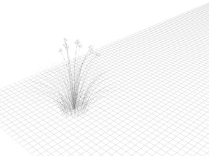 Grass and Flower Modelo 3D