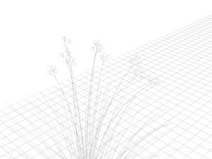 Grass and Flower Modelo 3D