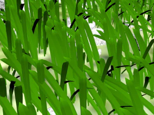Grass and Rocks 3D Model