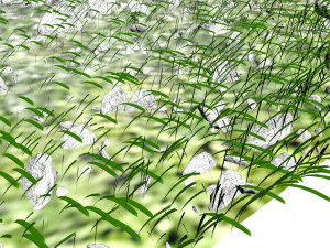 Grass and Rocks 3D-Modell