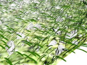 Grass and Rocks 3D Model