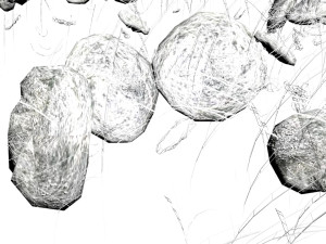 Grass and Rocks 3D-Modell