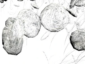Grass and Rocks 3D Model