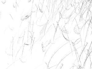 Grass and Rocks 3D-Modell