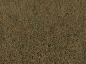 Grasses Set 3D Model