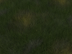 Grasses Set 3D Model