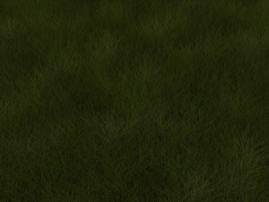 Grasses Set 3D Model