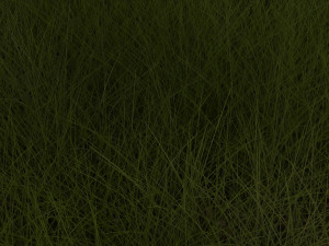 Grasses Set 3D Model