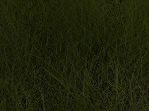 Grasses Set 3D Model