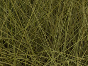Grasses Set 3D Model