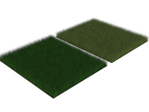 Grasses Set Model 3D