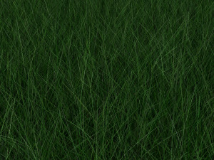 Grasses Set Modelo 3D
