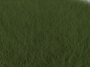 Grasses Set Modelo 3D