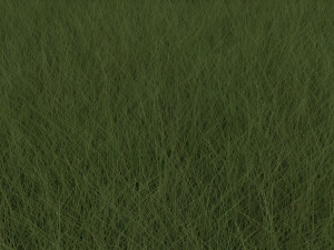 Grasses Set Modelo 3D