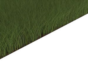 Grasses Set Modelo 3D