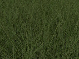 Grasses Set Modelo 3D