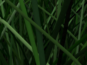 Grasses Set Modelo 3D