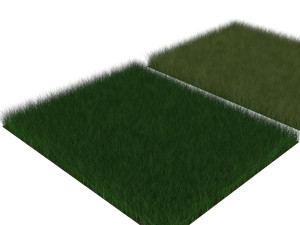 Grasses Set Modelo 3D
