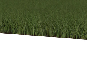 Grasses Set Modelo 3D