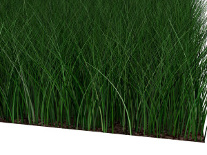 Grasses Set Modelo 3D