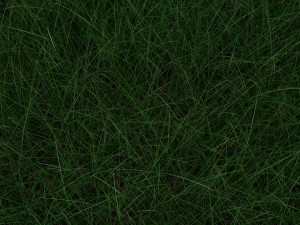 Grasses Set Modelo 3D