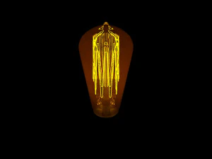 Edison Light Bulb 3D Model