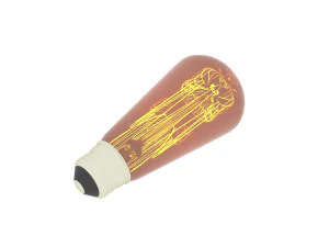 Edison Light Bulb 3D Model