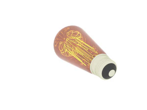 Edison Light Bulb 3D Model