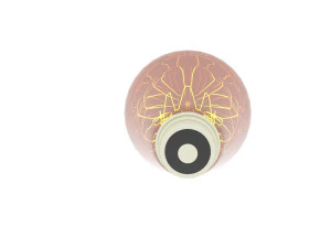 Edison Light Bulb 3D Model