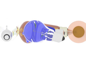 Light Bulbs Collection Model 3D