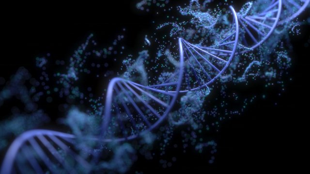 DNA Helix Model 3D .c4d .max .obj .3ds .fbx .stl .blend 